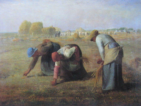 稲ボッチから落穂ひろいへ * from sheaves to gleaning_c0345705_14033882.jpg