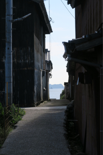 d0147406_17094129.jpg