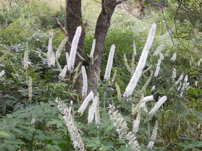f0219710_7243614.jpg