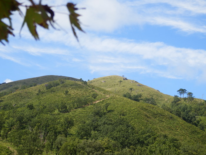 f0219710_7449.jpg