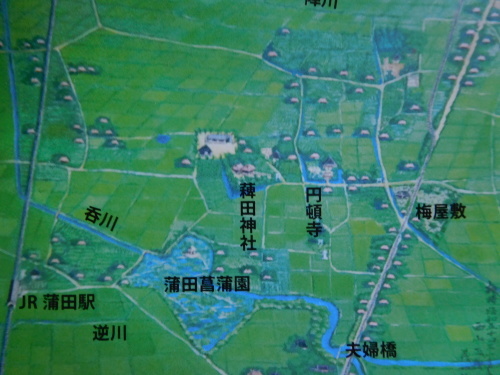 東京 大田区 「六郷用水と映画の街蒲田」菖蒲園跡、粺田神社、円頓寺、梅屋敷公園、キネマ通り、夫婦橋、ミスタウン映画街跡、松竹キネマ撮影所跡_e0345320_01133247.jpg