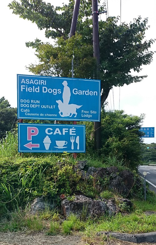 f0257721_22152080.jpg