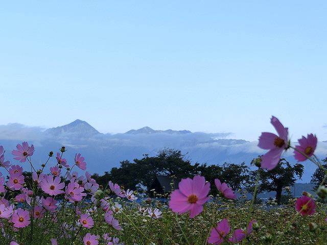 　　この青空が元気をくれる_e0234924_16295282.jpg