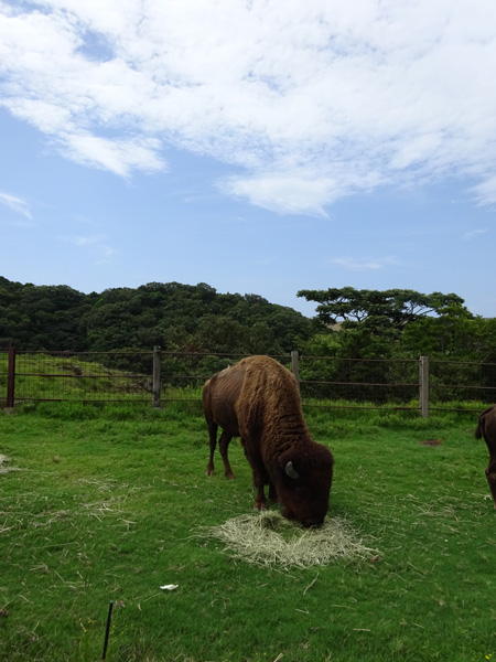 青春18きっぷ（2015夏）を使ってみた その13_e0192725_2012088.jpg