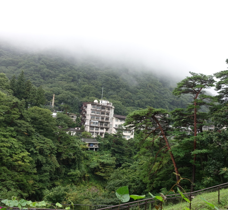 あいにくの雨模様での鬼怒川温泉 -> とりっくあーとぴあ日光_b0024832_12441522.jpg