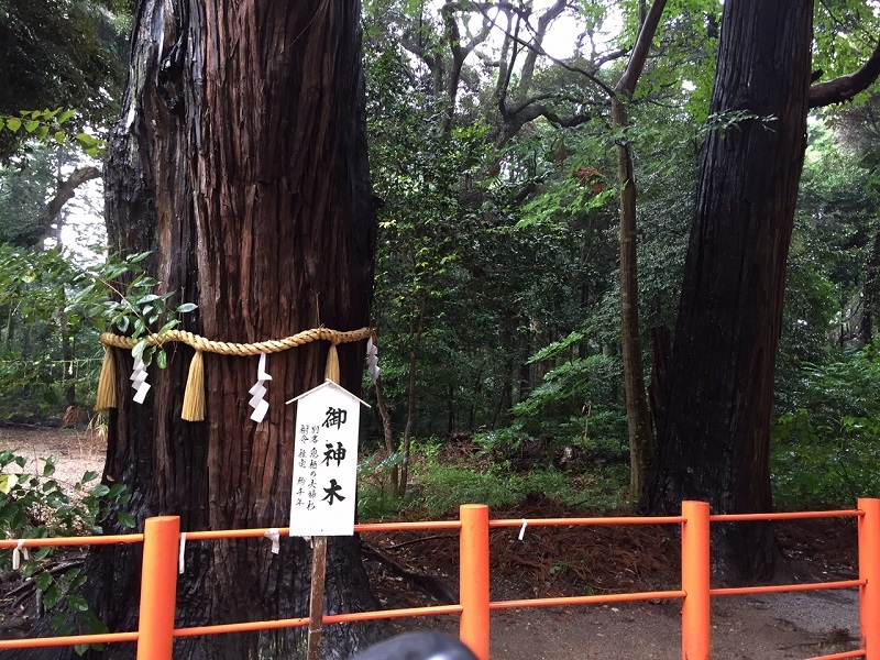 ✿息栖神社 _b0330432_18191782.jpg