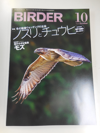 鳥とメダカとジェラートと_e0097534_1712135.jpg