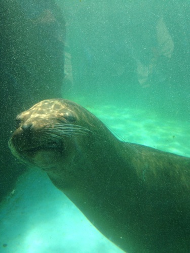 動物園に行ってきました。_c0367444_17170899.jpg