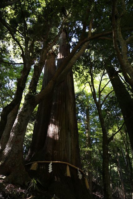 貴船神社_c0342646_15045357.jpg