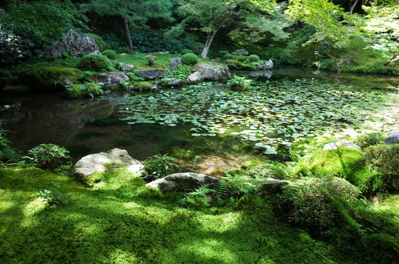 2015年9月の京都　南禅寺水路閣インクライン_f0169147_13232660.jpg