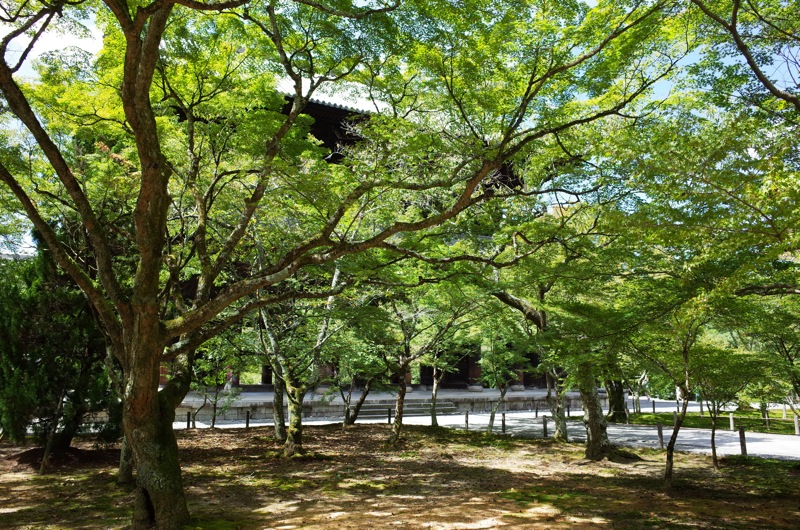 2015年9月の京都　南禅寺水路閣インクライン_f0169147_13382956.jpg