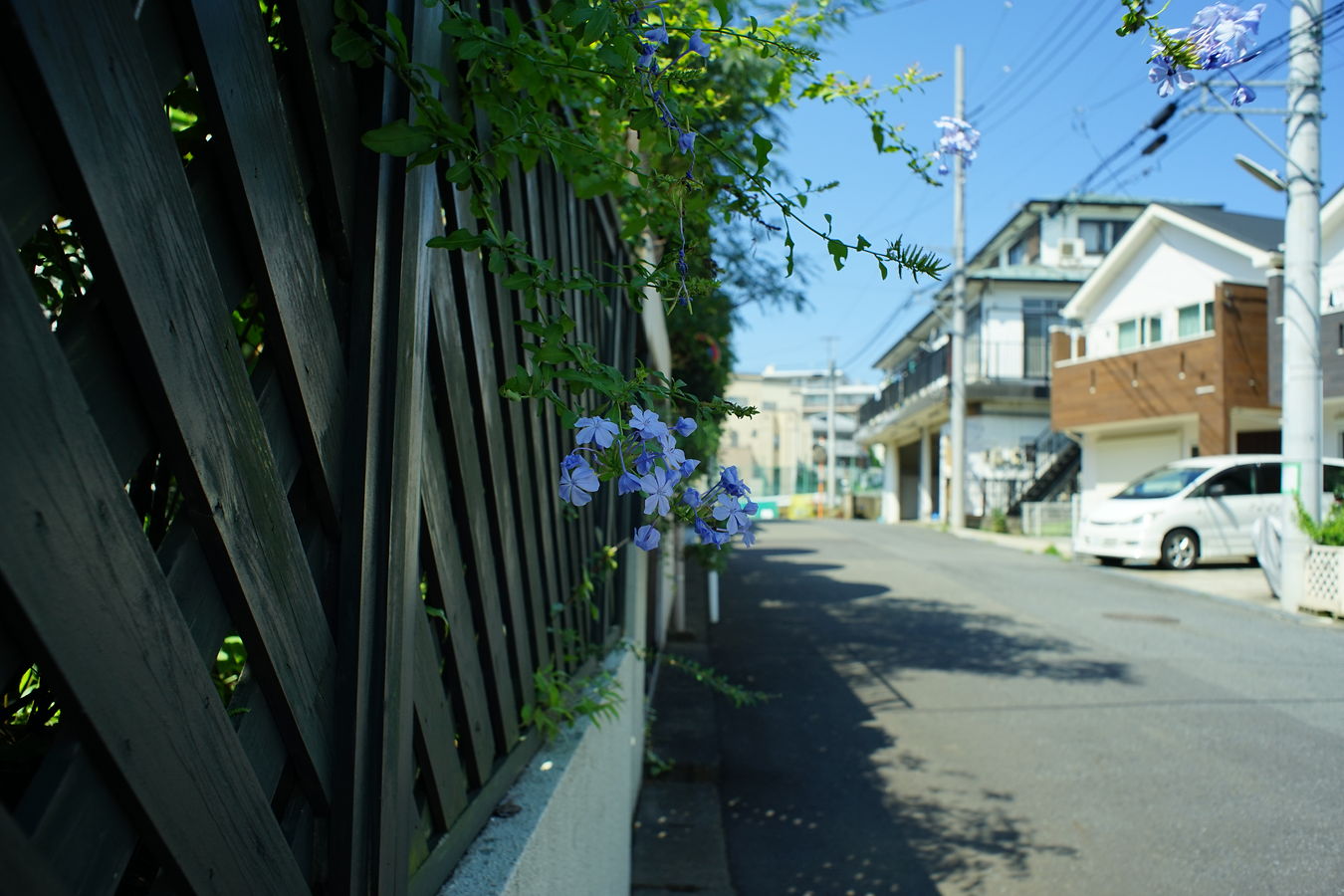 a0063552_2030736.jpg