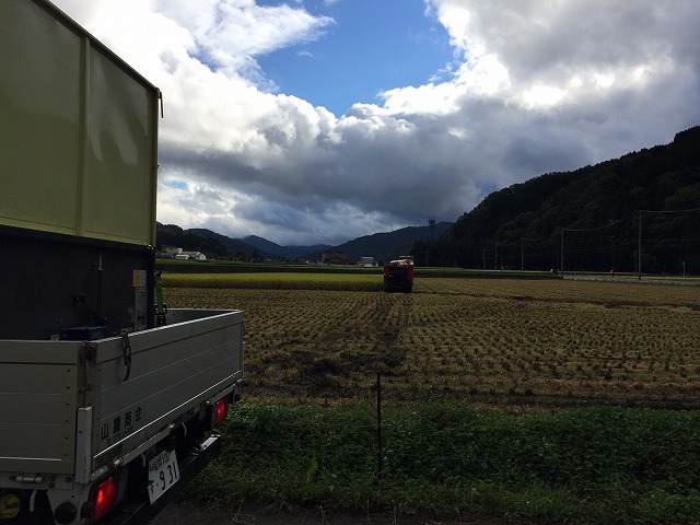 稲刈り真っ最中!_c0145453_1492885.jpg