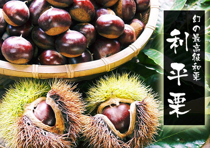 利平栗 栗の王様『利平栗』 収穫(栗拾い)最盛期です!!台風15号にも負けずに残った“勝ち栗”ですよ!!_a0254656_179217.jpg