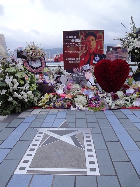2015年4月の星光大道(アベニューオブスターズ)のお花_d0334268_20290168.jpg