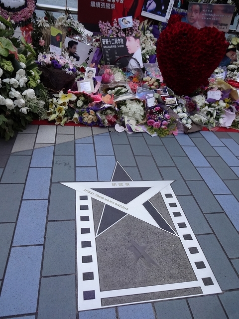 2015年4月の星光大道(アベニューオブスターズ)のお花_d0334268_20311410.jpg