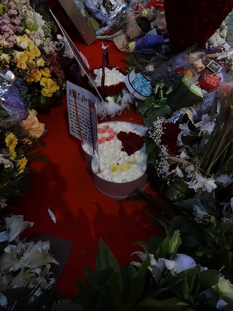 2015年4月の星光大道(アベニューオブスターズ)のお花_d0334268_20355224.jpg