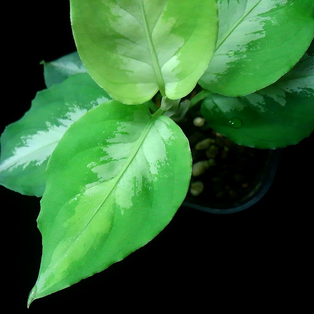 d0249970_14373035.jpg