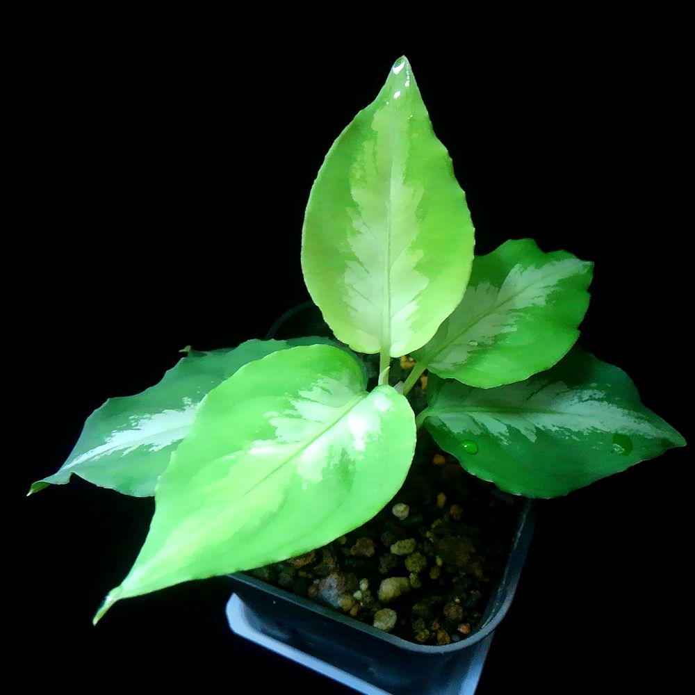 d0249970_143759.jpg