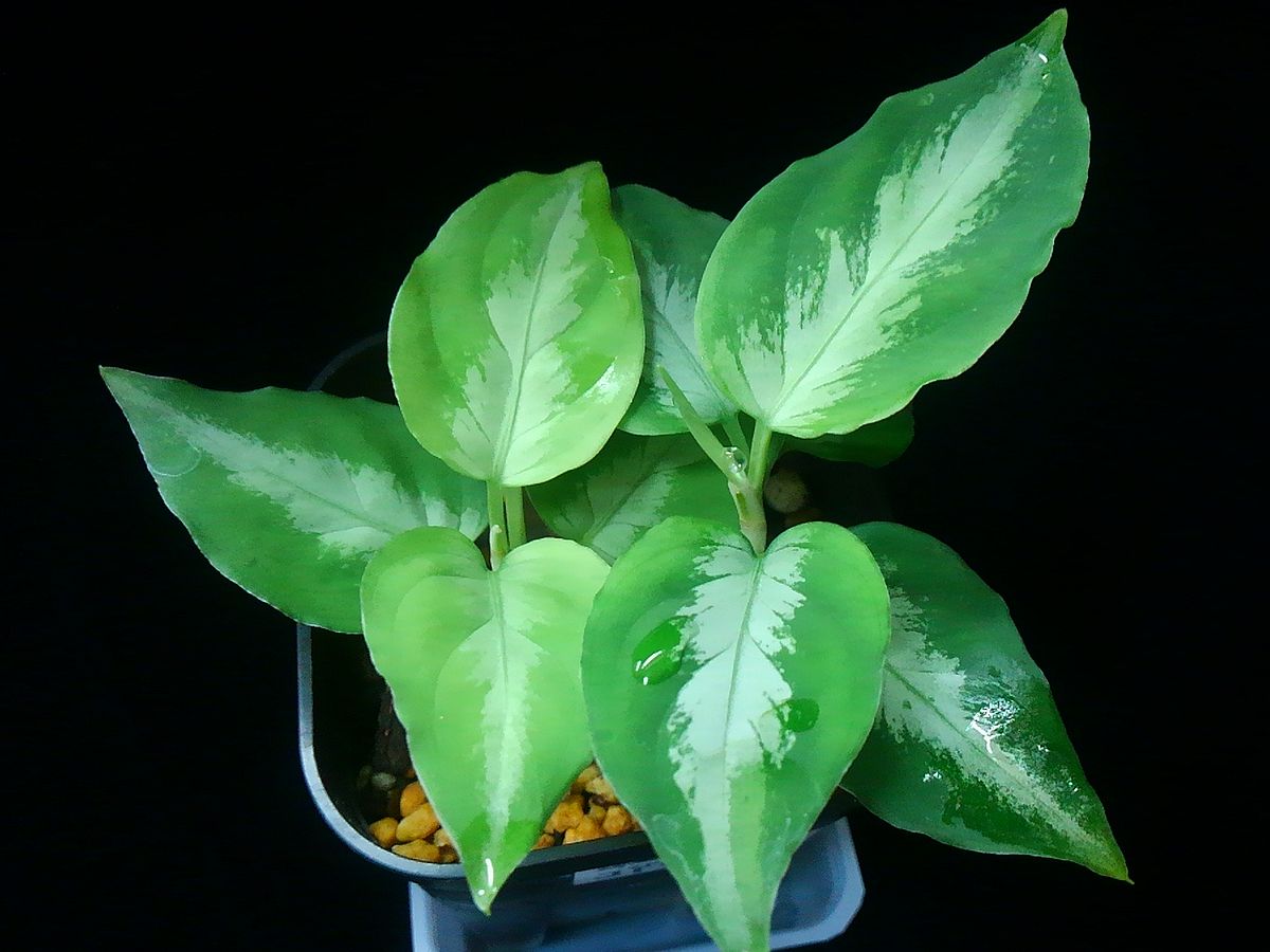 d0249970_14382260.jpg