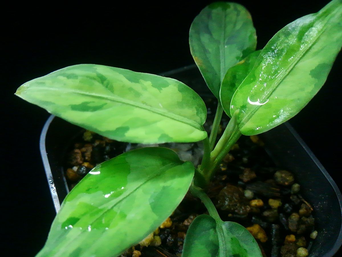 d0249970_15545837.jpg