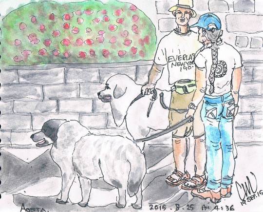アオスタのピレネー犬_e0232277_1173052.jpg