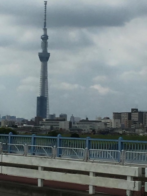 b0030078_1284020.png