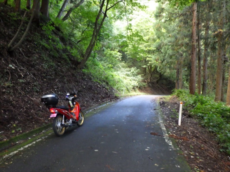 Wave125iで蕎麦 峠三昧 廃道ツーリング M55から