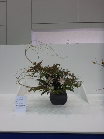 西日本陶磁器フェスタ (一日目)_d0195183_14974.jpg