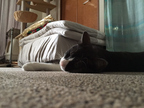 f0222387_012050.jpg