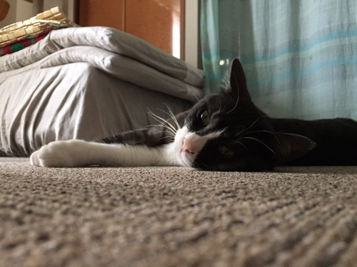 f0222387_012352.jpg