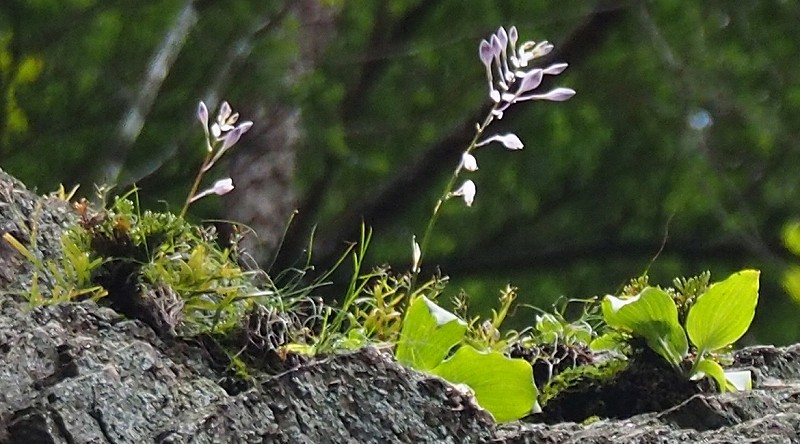 a0293295_21151569.jpg