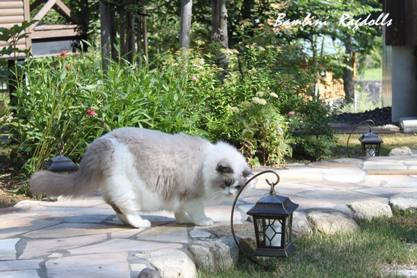 c0117597_13542571.jpg