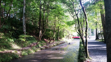 e0143298_1003790.jpg