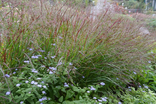 c0124100_20495150.jpg