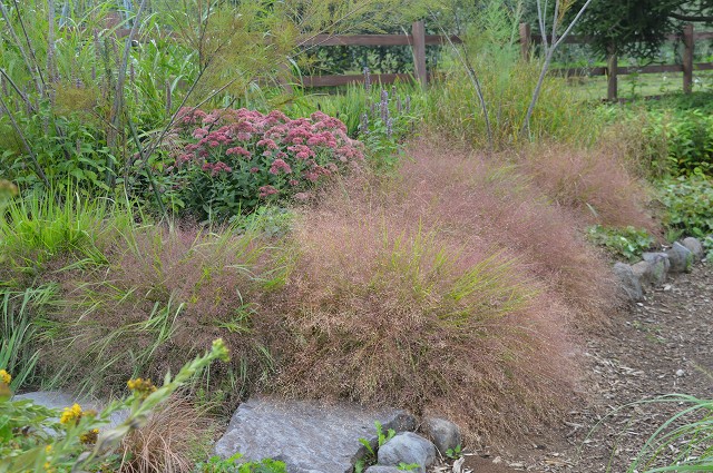 c0124100_20504349.jpg