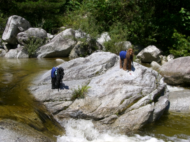 a0134004_10282930.jpg