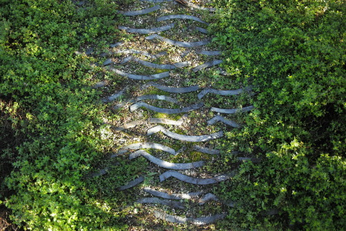 c0334705_03205098.jpg