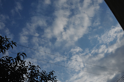 a0278809_17263124.jpg