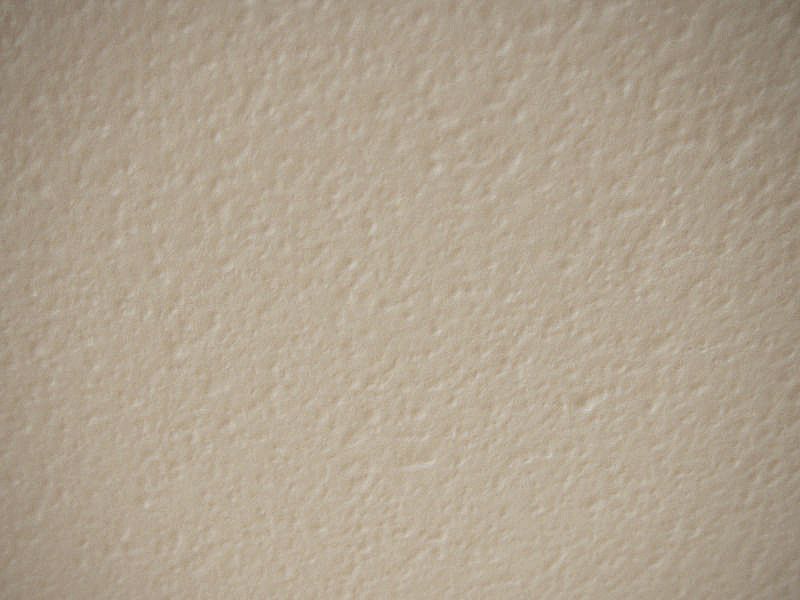 呼吸する壁紙。_b0131012_9394065.jpg