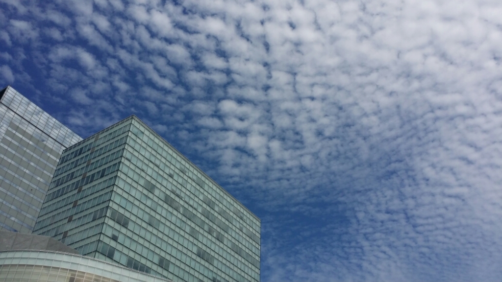 b0019313_17055405.jpg
