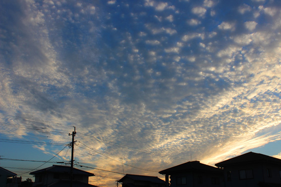 a0329820_06353294.jpg