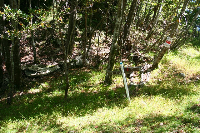 f0193521_21151414.jpg