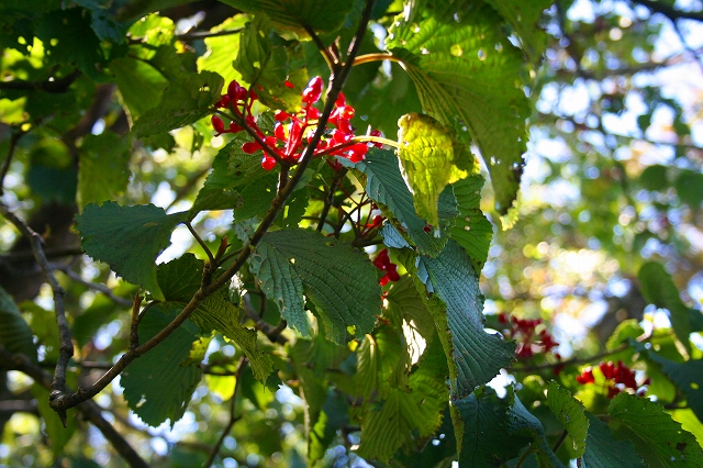 f0193521_21163452.jpg