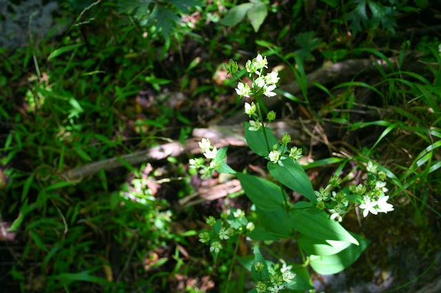 f0193521_21184414.jpg
