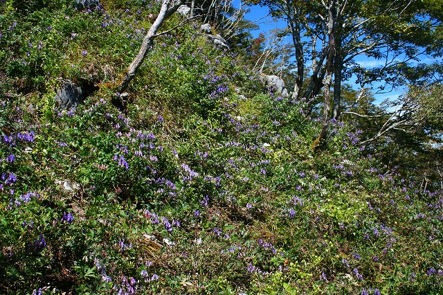 f0193521_21185891.jpg