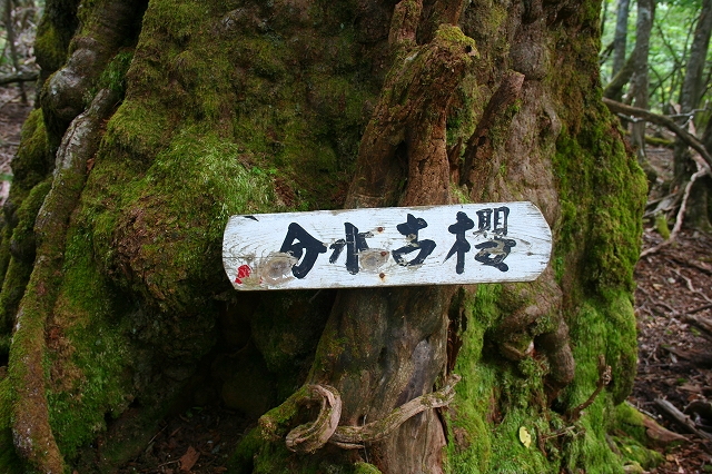 f0193521_2128126.jpg