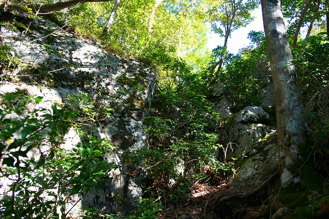 f0193521_825426.jpg