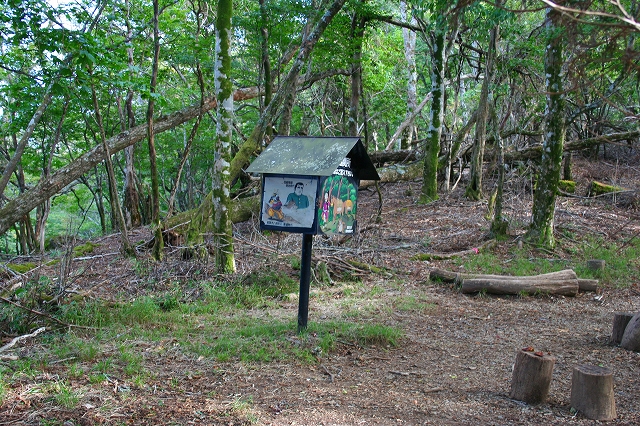f0193521_861079.jpg