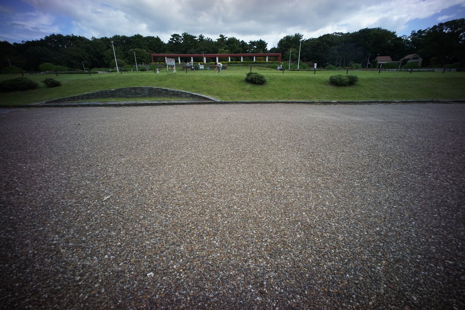 b0069128_8474484.jpg
